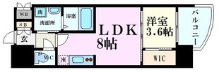 セレニテ福島アリアの物件間取画像